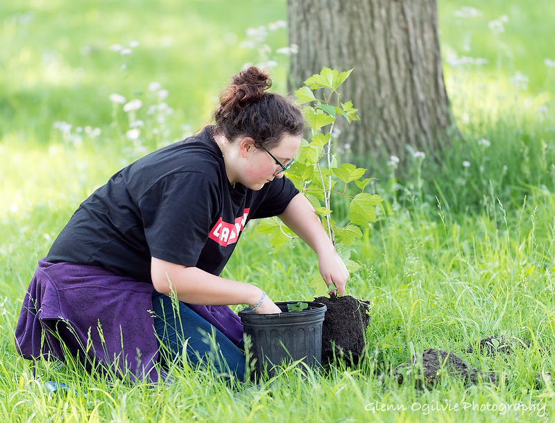 Hidden treasure: $1M worth of native plants found in city park