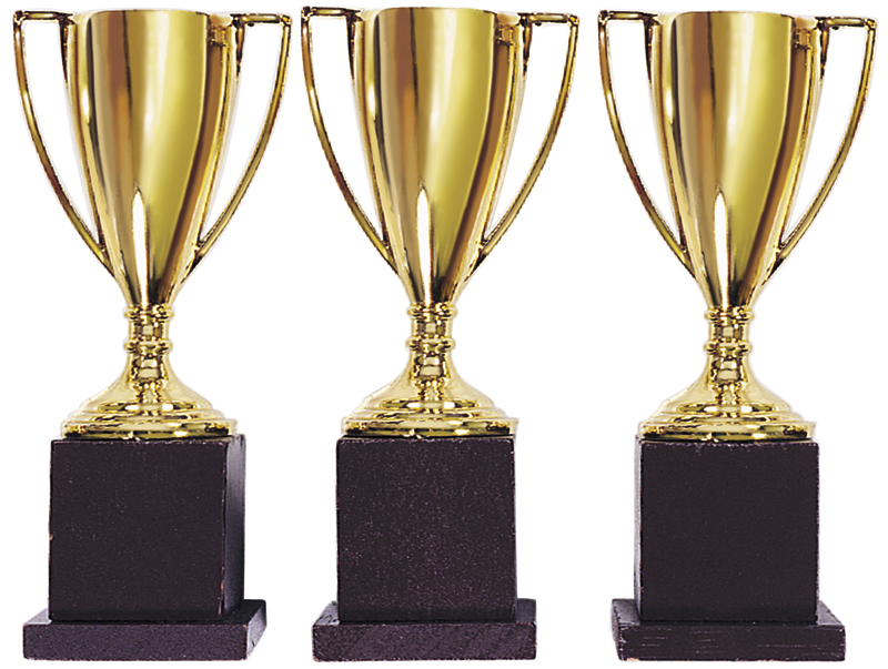Mayor honours Sarnians who made a difference