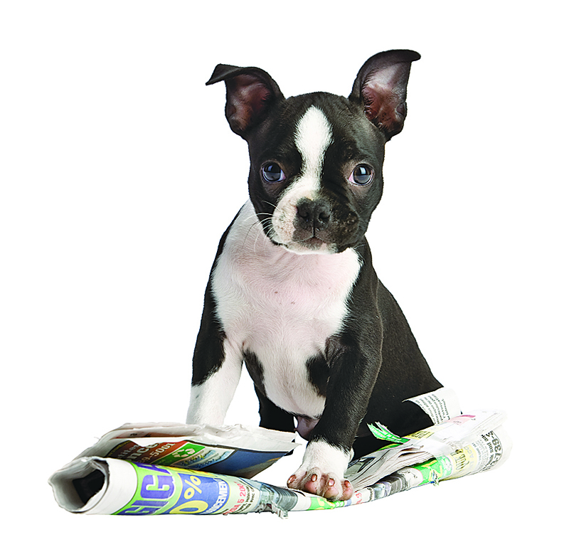 Sarnia Journal trivia challenge