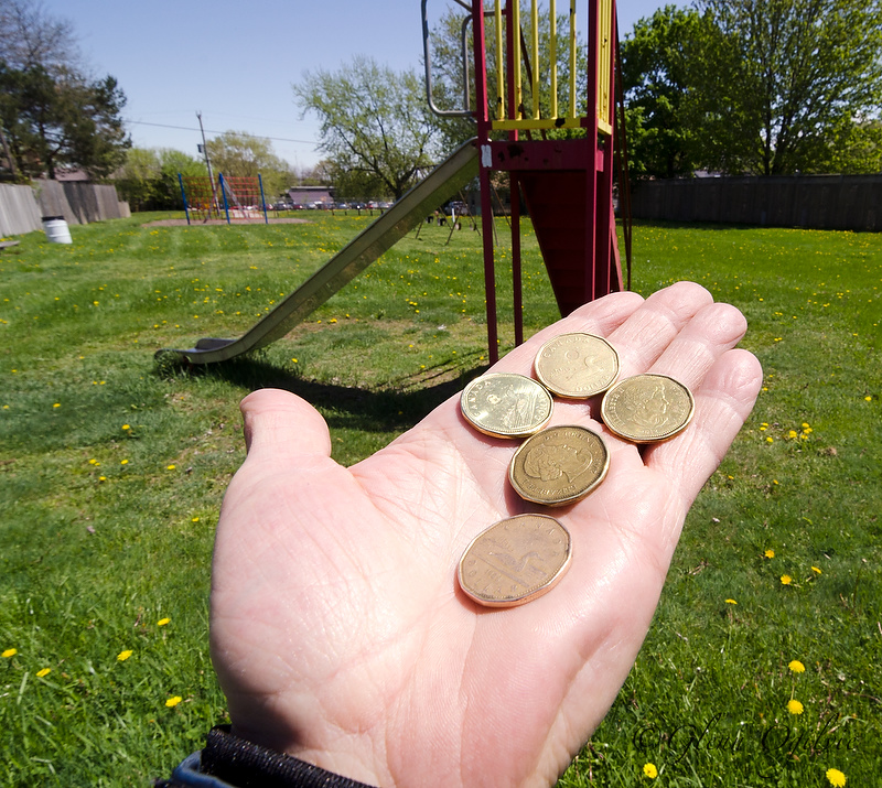 Toonie Park