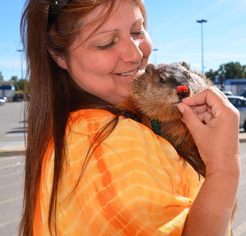 Rescue centre awash in orphaned wildlife