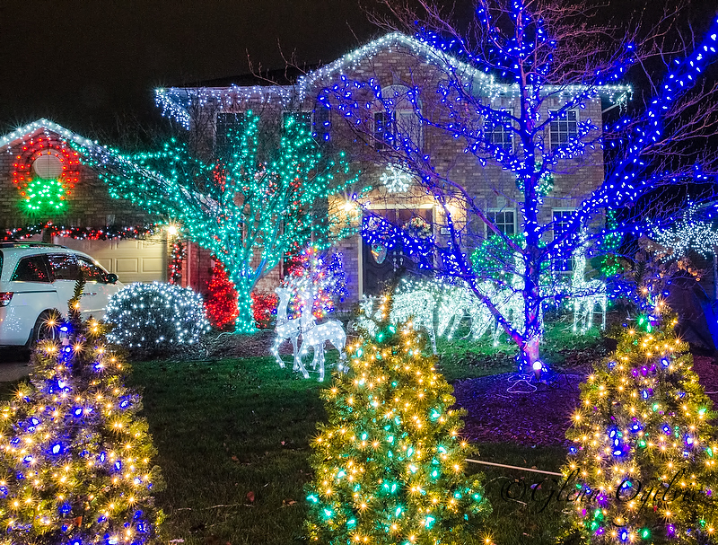 Grab a hot chocolate, bundle up the kids and take the driving Light Tour