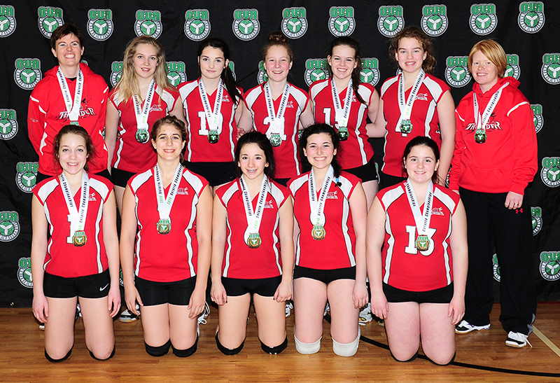 Silver medal for Twin Bridges volleyball team