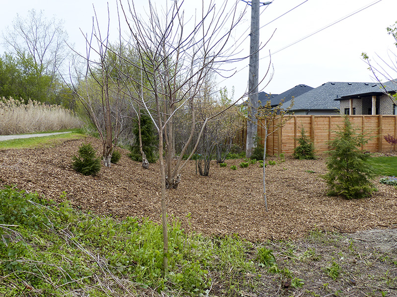Sarnia cracking down on nature trail abusers
