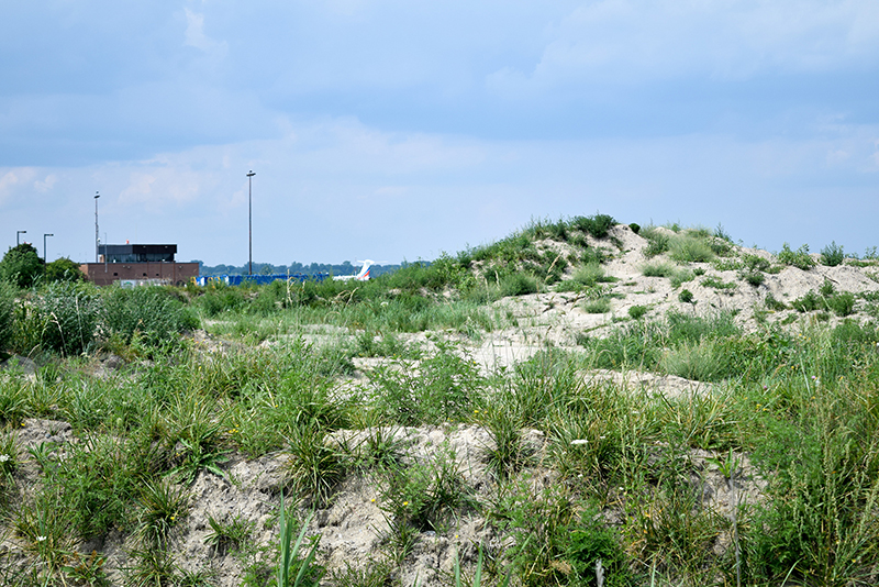 Airport dirt cleared for takeoff