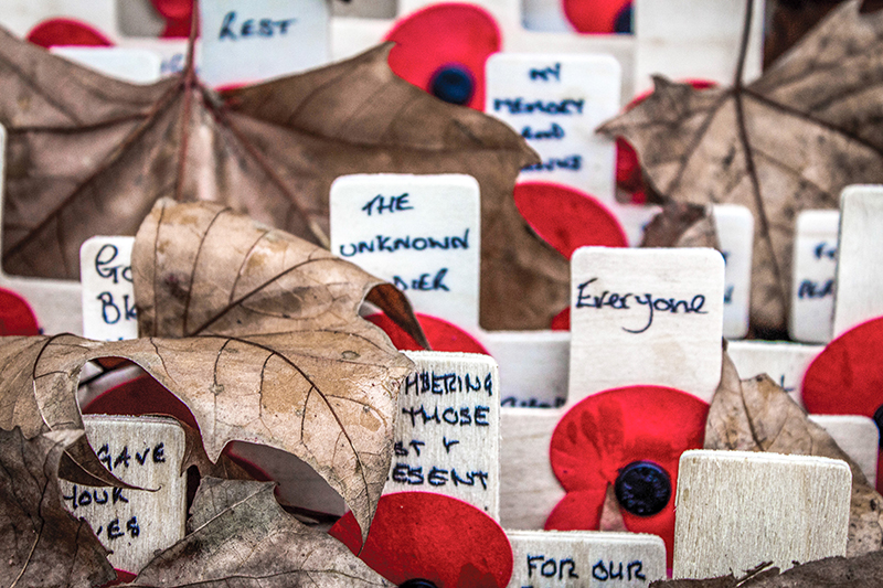 Your local community guide to Remembrance Day services