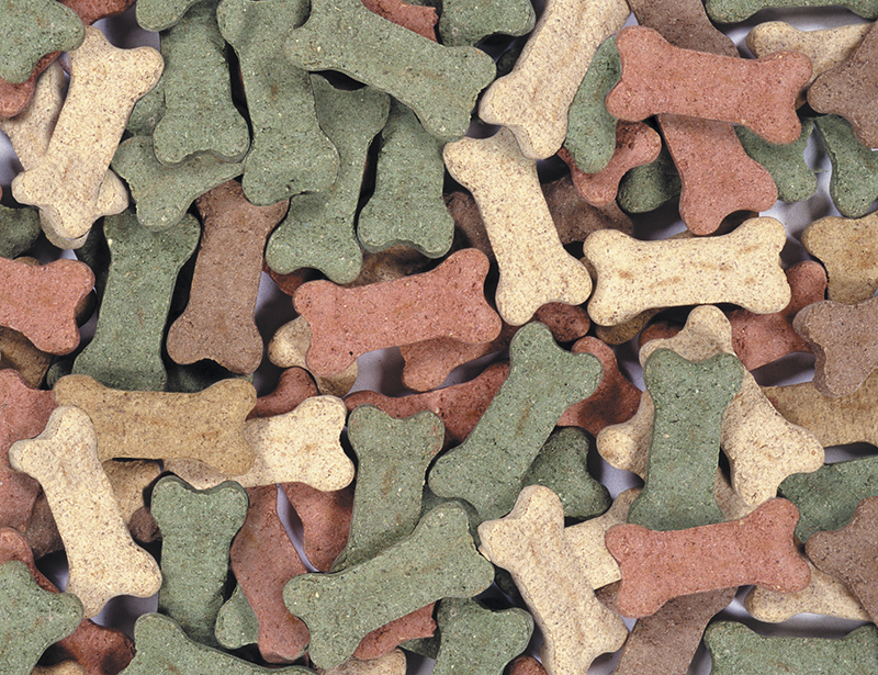 My dog is a whole different animal – but still a lot like me