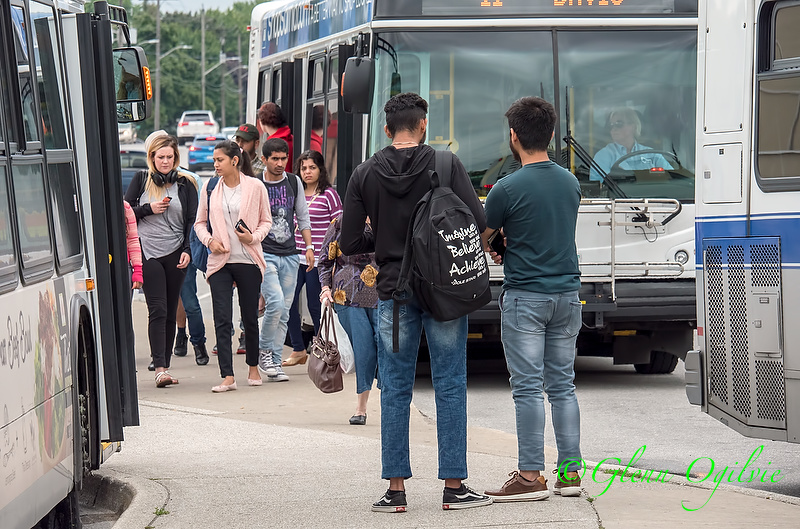 Sarnia Transit returning to full fares, transfers June 1