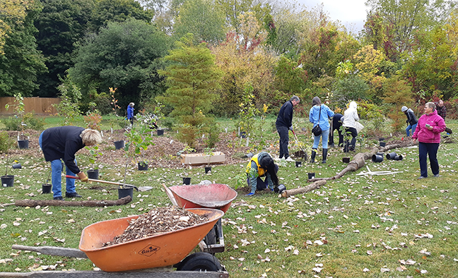 ‘Mini-forest’ taking shape in Sarnia park