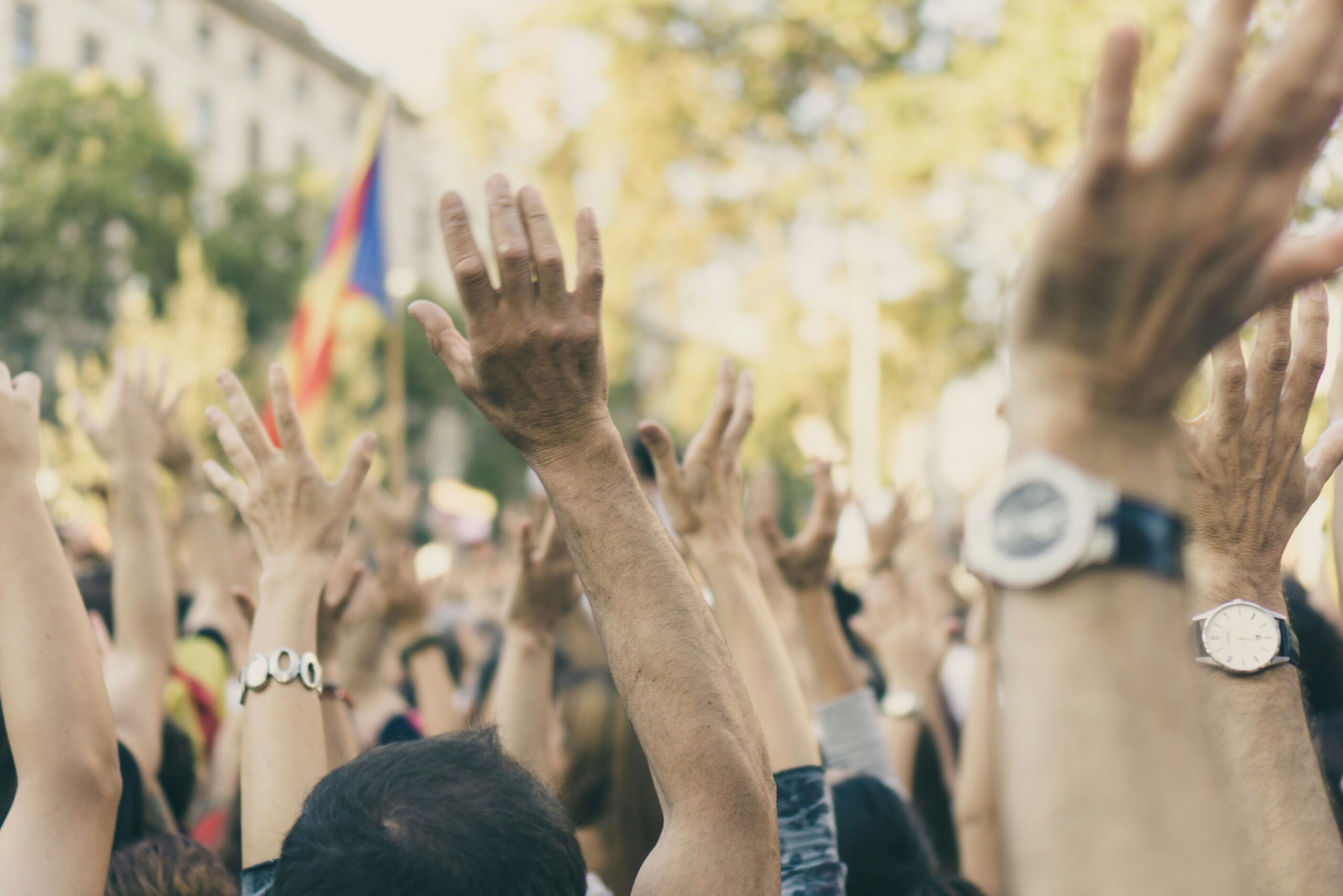 So….you want to protest?