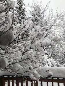 Snow