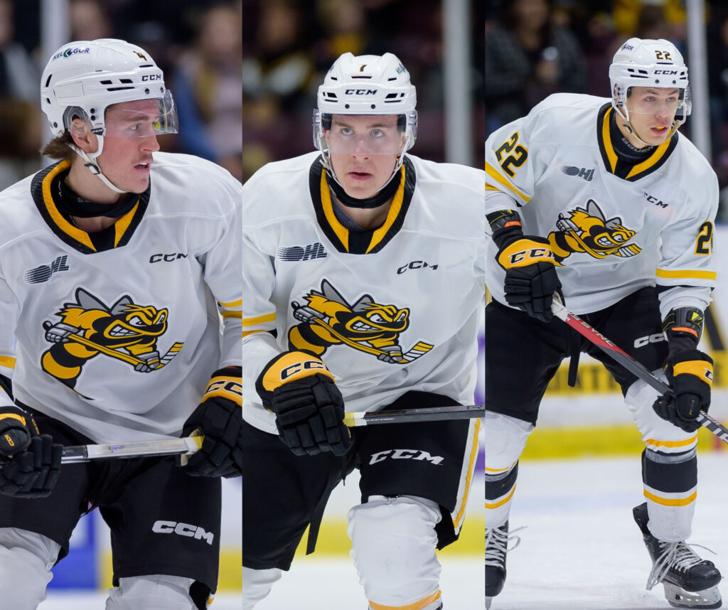 Sting complete major trade with North Bay
