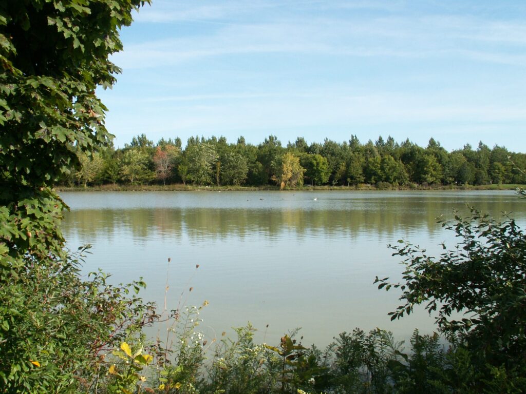 New grant program helps Lambton landowners restore wetlands and protect waterways
