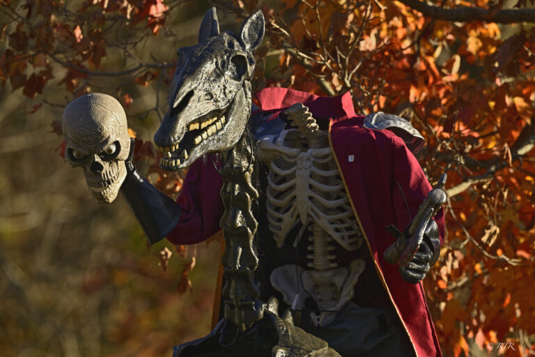 Halloween characters through Ronny Rooster’s lens