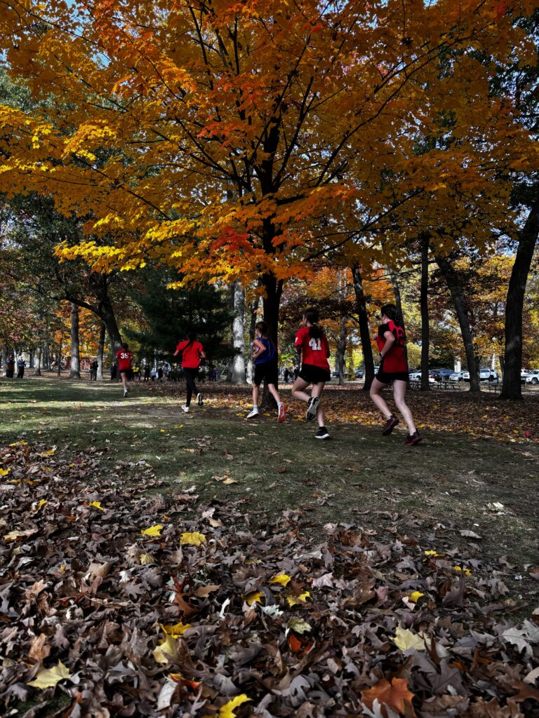 Students taking part in the LKDSB elementary cross-country meet at Canatara Park.