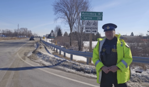 Lambtonopp