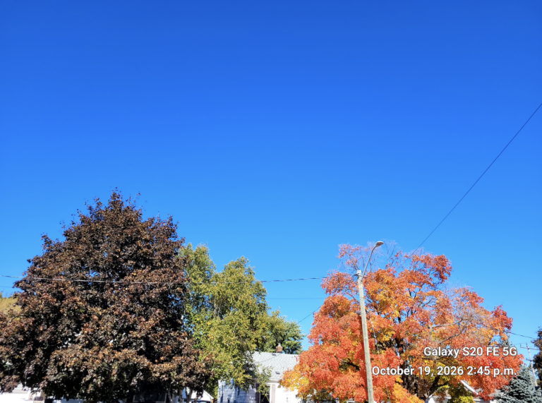 Autumn colours under a clear blue sky
