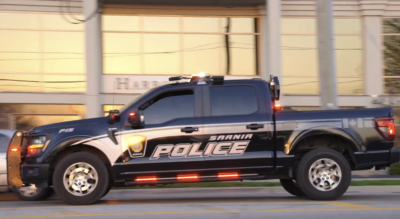 Sarnia police report sharp decline in September arrests and charges